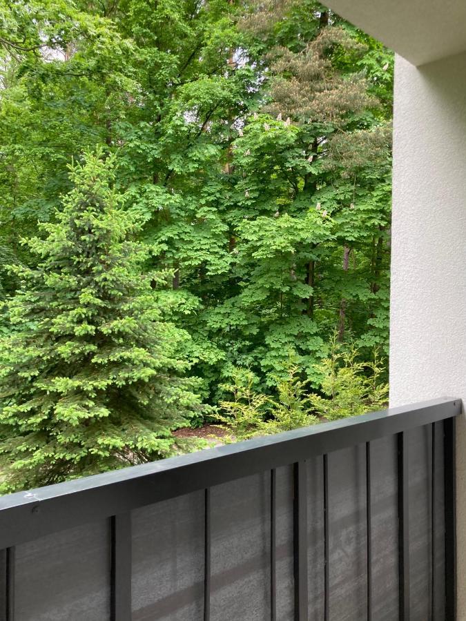 Apartament 221 Przy Niedzwiadku Polanica-Zdrój Exterior foto